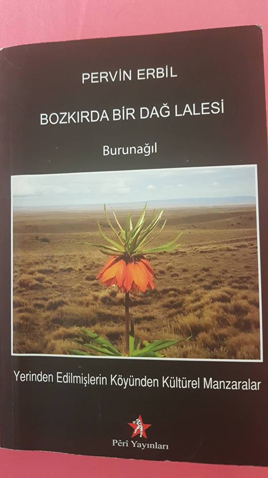 PIRTÛKA LI SER BIRNAXLIYE!