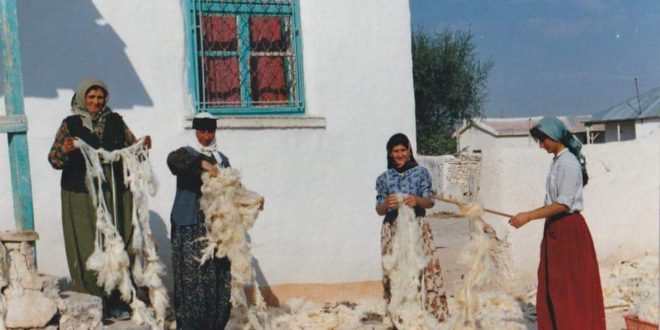 ÇERXA DEMÊN LAL / Xizan Şîlan