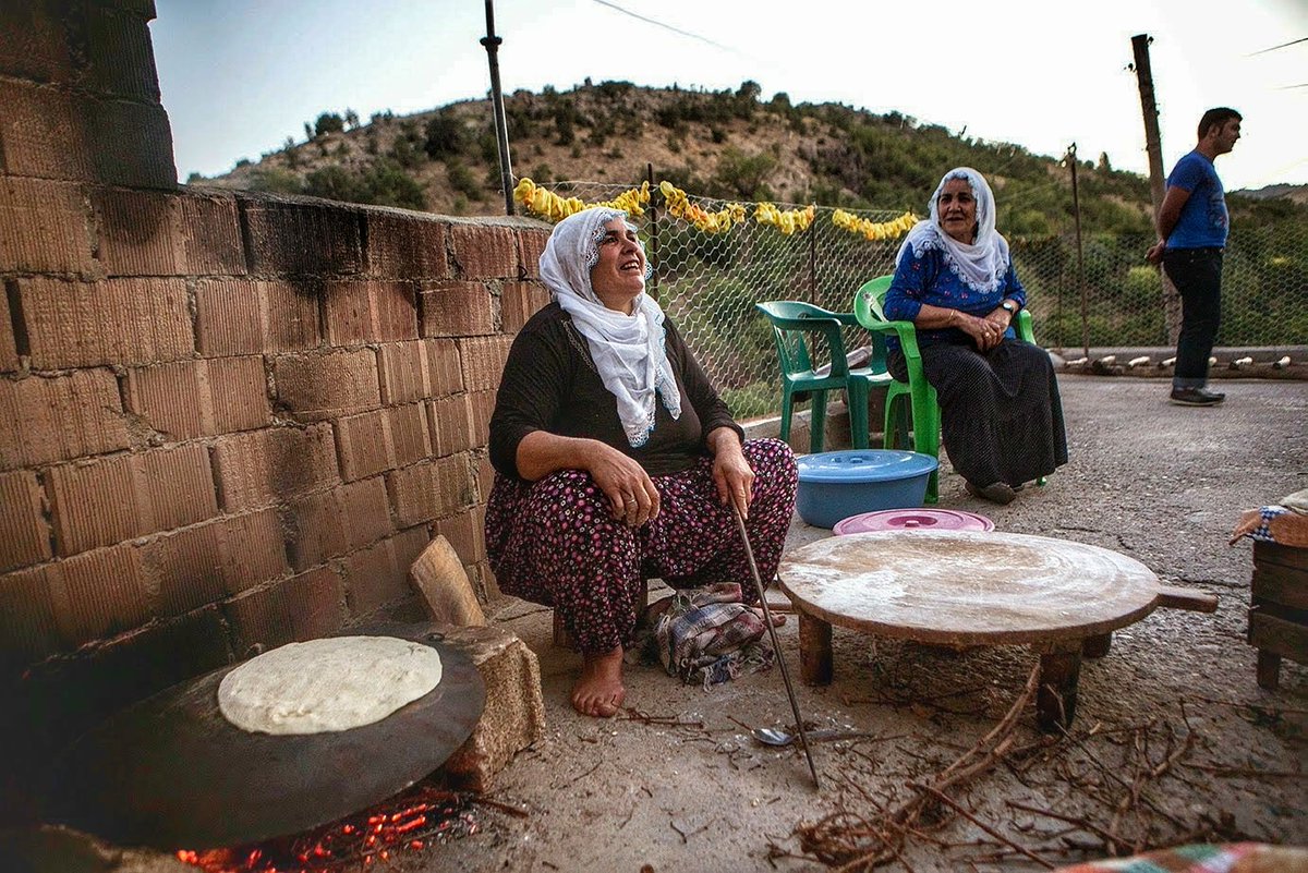 Jinên Kurd li Danimarka Nanê Şkeva lidixin