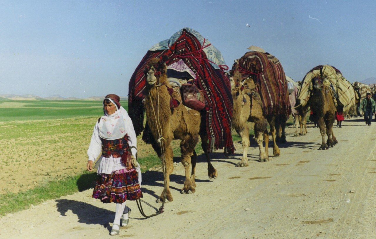 Kürtlerin ‘Kara Kutusu’ Xorasan / Şoreş Reşî