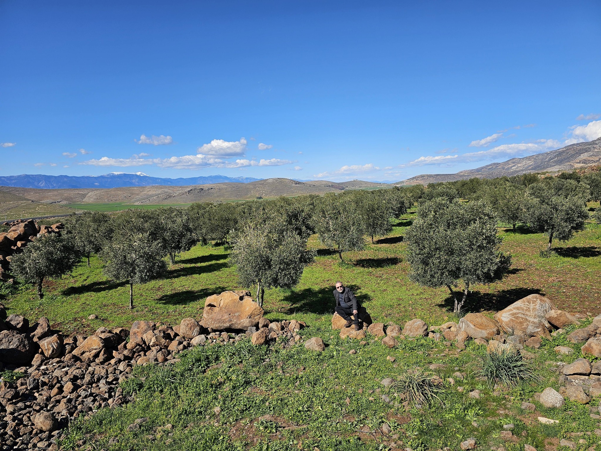 EFRÎNÎ VEDIGERIN BAJARÊ XWE!  ! 